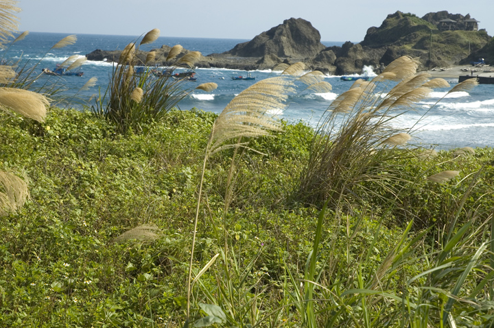 tai tung 3